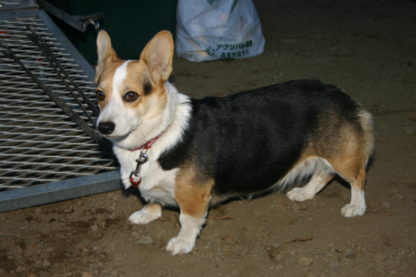 image0802