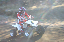 image0074