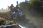 image0239