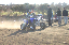 image0497