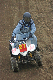 image0249
