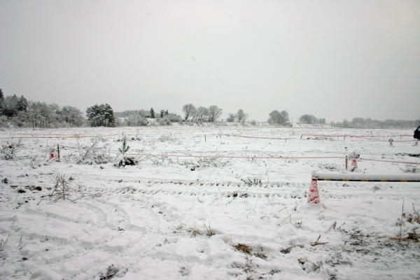image0002