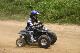 image0363