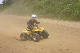 image0367