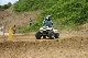 image0392
