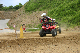 image0393