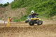 image0394