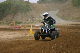 image0493