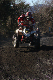 image0369