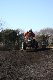 image0393