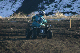 image0257