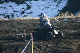 image0259