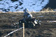 image0265