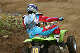 image0493