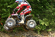 image0281