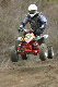 image0299