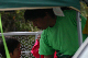 image0442