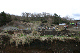 image0476
