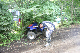 image0221