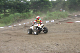 image0367