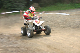 image0374