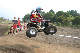 image0389