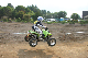 image0393