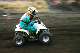 image0229