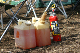image0365