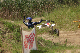 image0092