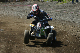 image0294