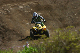 image0354