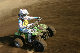 image0294