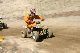 image0279