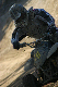 image0653