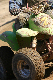 image0687
