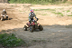 image0178
