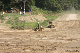 image0187