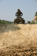 image0243