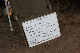 image0299
