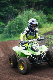 image0091
